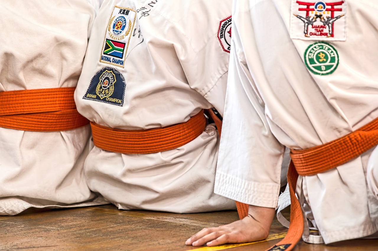 karate, uniform, athletes-1665747.jpg